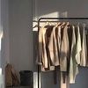 aves_closet09